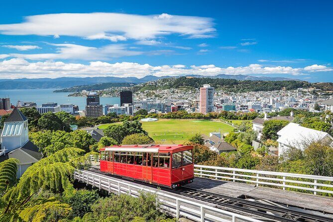 Full Day Private Tour Sightseeing Wellington Including Pickup - Key Points