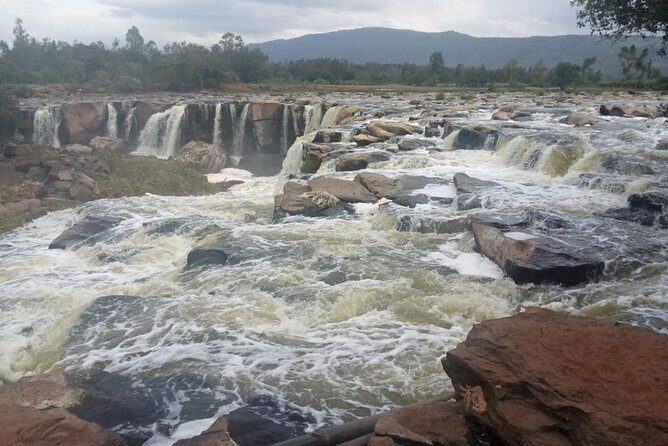 Full-Day Private Tour to Fourteen, Chania and Thika Waterfalls - What Travelers Say