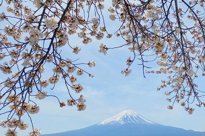 Full Day Private Tour to Mt Fuji by Luxury Vehicle - FAQ