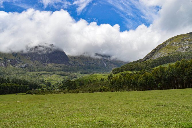 Full-Day Private Tour to Munnar from Kochi with Lunch - The Ultimate Guide to the Full-Day Private Tour from Kochi to Munnar
