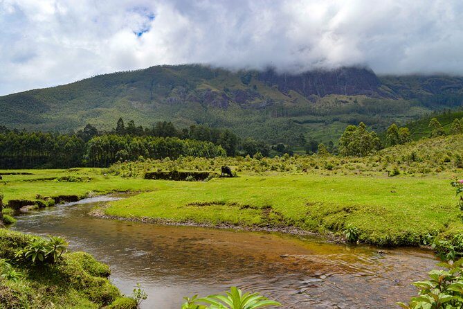 Full-Day Private Tour to Munnar from Kochi with Lunch - Key Points