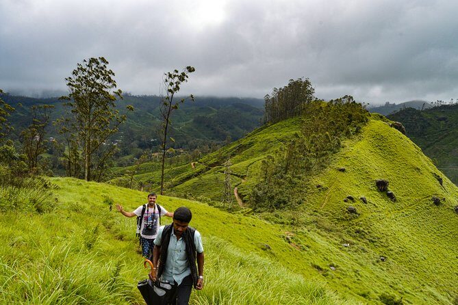 Full-Day Private Tour to Munnar from Kochi with Lunch - FAQ