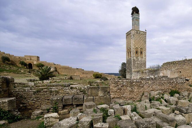 Full-Day Private Tour to Rabat from Casablanca - An In-Depth Look at the Tour Experience
