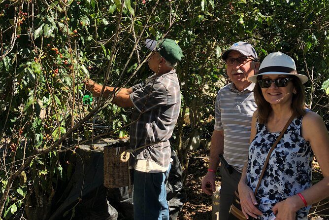 Full-Day Private Tour to San Sebastian del Oeste with Guide - Final Thoughts: Is This Tour Right for You?