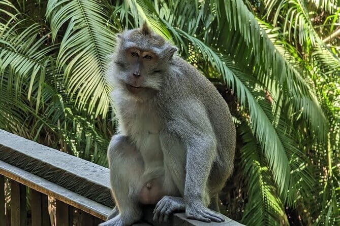 Full Day Private Tour to Ubud Waterfall and Uluwatu Sunset - Practical Details and Tips for Travelers