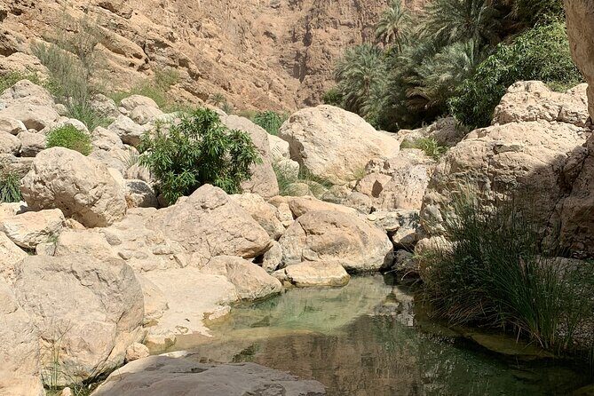Full Day Private Tour to Wadi Shab and Bimmah Sinkhole - Final Thoughts