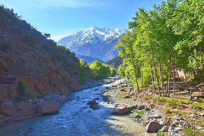 Full Day Private Trip from Marrakech to Atlas with Lunch - Practical Considerations and Value