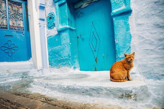 Full Day Private Trip to Chefchaouen the Blue City from Tangier - The Sum Up