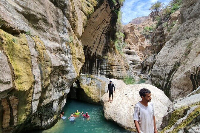 Full-Day Private Wadi Tiwi Adventure - Who Should Consider This Tour?