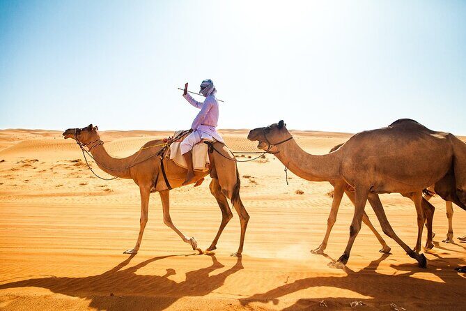 Full-Day Private Wahiba Sands Desert and Wadi Bani Khalid Tour - Practical Details