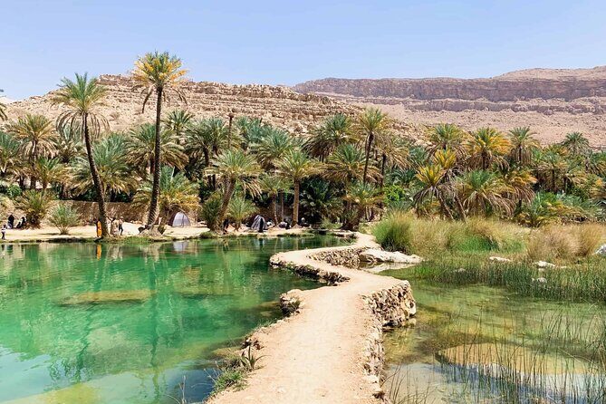 Full-Day Private Wahiba Sands Desert and Wadi Bani Khalid Tour - What Travelers Say