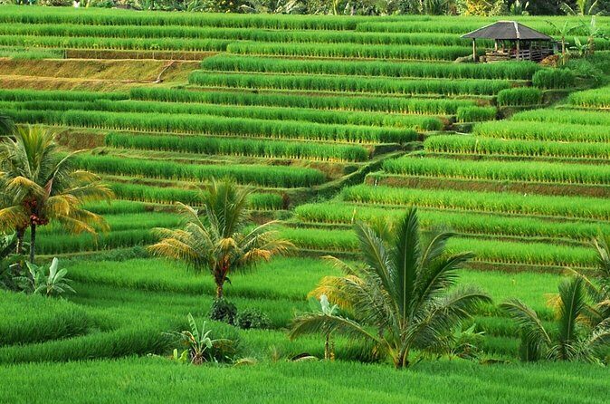 Full Day Private Water Temples Tour in Bali - FAQ