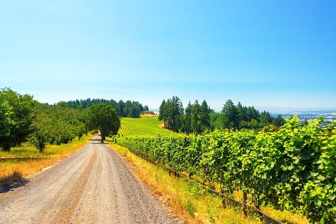 Full Day Private Willamette Valley Wine Tour from Portland - Introduction