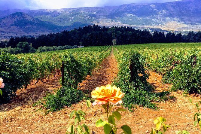 Full-Day Private Wine Tasting Tour - The Practicalities: How It All Comes Together