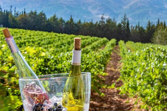Full-Day Private Wine Tasting Tour - Final Thoughts: Who Is This Tour Best For?