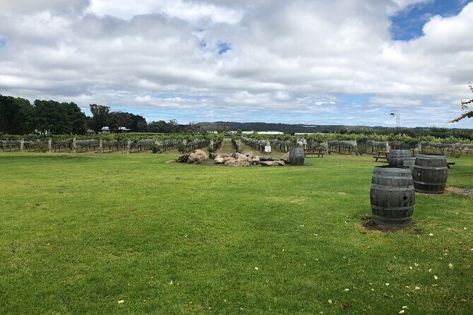 Full-Day Private Wine Tour of the Stanthorpe Area with Lunch - FAQ