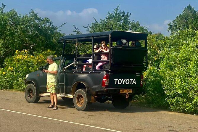Full Day Private Yala Safari Trip with Lunch - The Sum Up