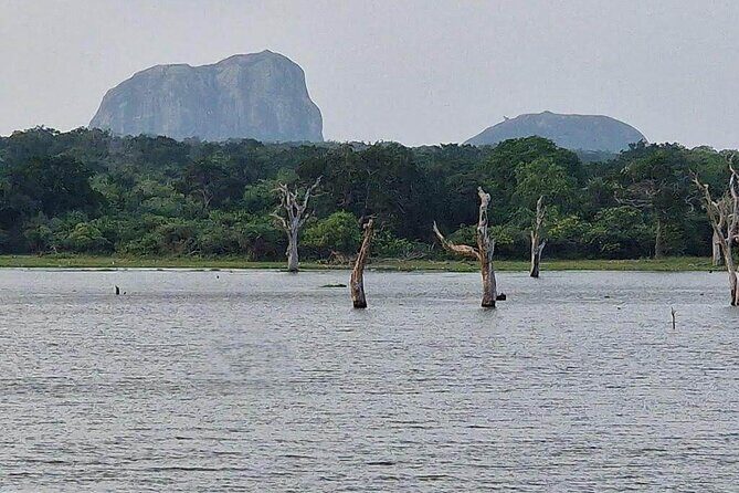 Full Day Private Yala Safari Trip with Lunch - FAQ