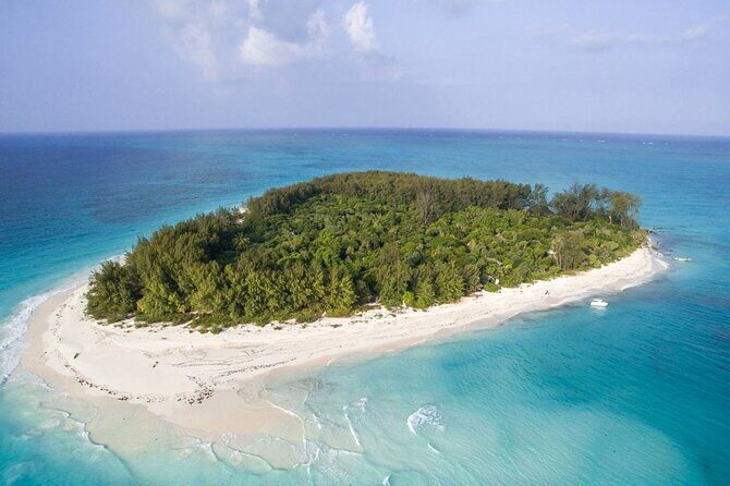 Full - Day Private Zanzibar Tour with dolphins & Sunset Beach - Key Points