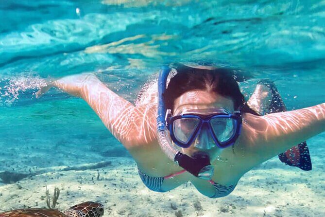 Full - Day Private Zanzibar Tour with dolphins & Sunset Beach - The Sum Up