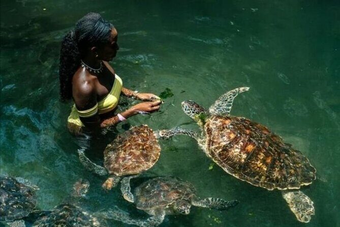 Full Day Private Zanzibar Tour with Sunset Beach - Discover the Best of Zanzibar in a Full Day