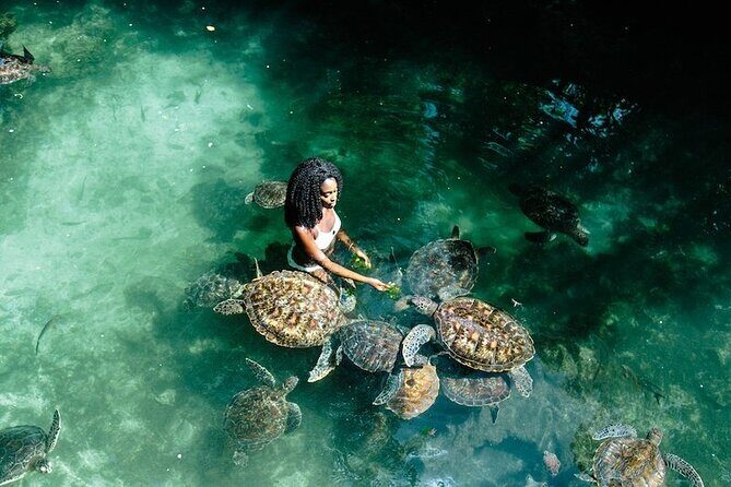 Full Day Private Zanzibar Tour with Sunset Beach - Key Points