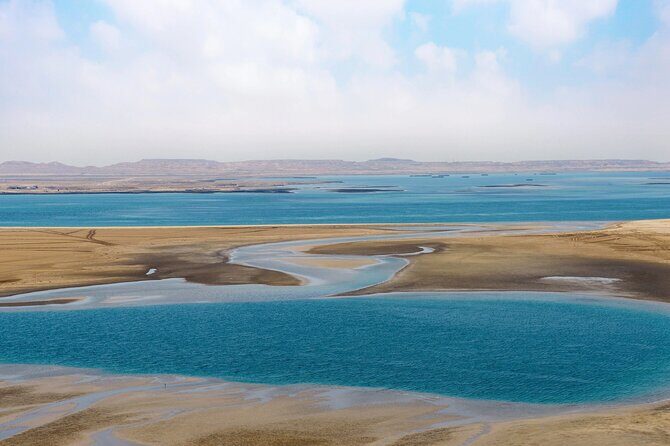 Full Day Qatar North and Desert Safari with pickup - Authentic Experiences & Traveler Ratings