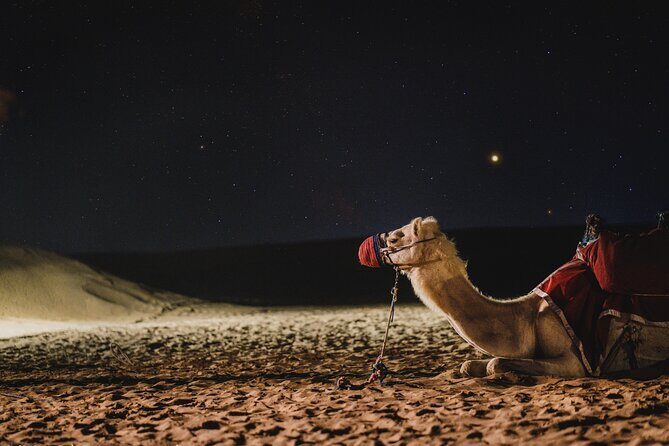Full Day Qatar North and Desert Safari with pickup - FAQ