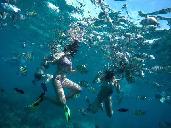 Full-Day Racha Noi and Racha Yai Snorkeling from Phuket - An In-Depth Look at the Tour