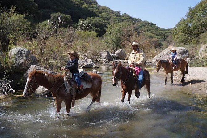 Full-Day Ranch Adventure and Horseback Riding Tour - The Sum Up: Is It Worth It?
