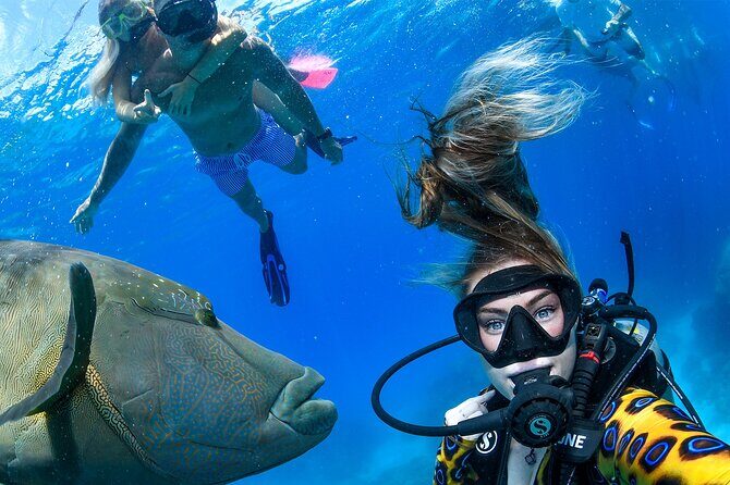 Full Day Reef Cruise and 10 Minute Helicopter Scenic Flight - Introduction to the Experience