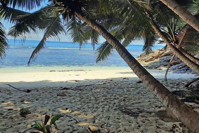 Full Day Reef Safari at St Anne Marine Park Seychelles - Frequently Asked Questions