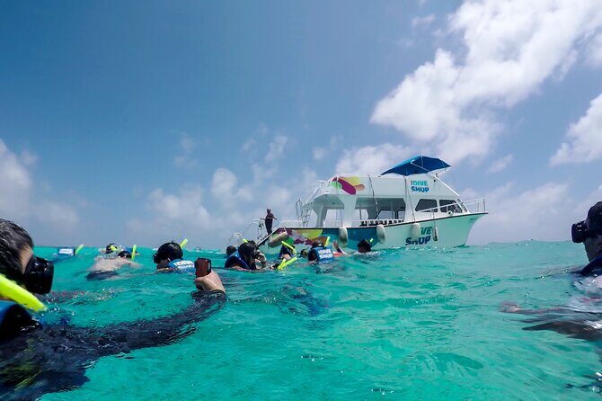 Full-Day Reef Snorkeling in Cozumel from Cancun with Lunch - Key Points
