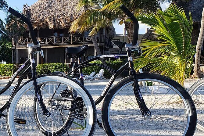 Full Day - Rent a Bike in Puerto Escondido - Key Points