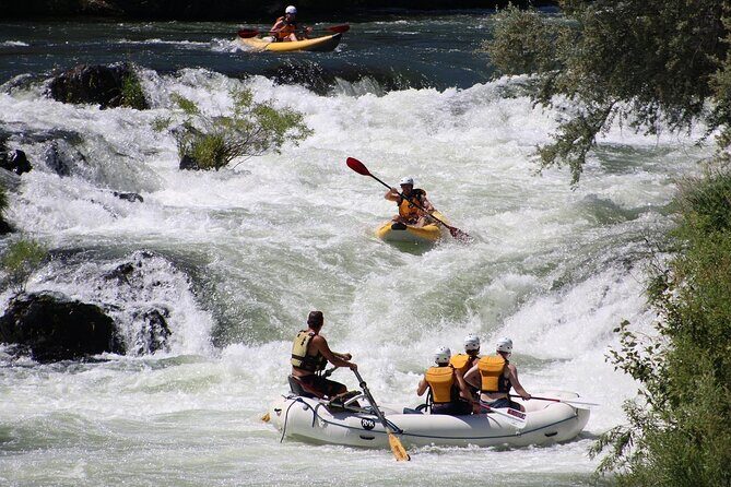 Full Day Rogue River Experience Class (I-IV) - What to Expect on the Rogue River Full Day Tour