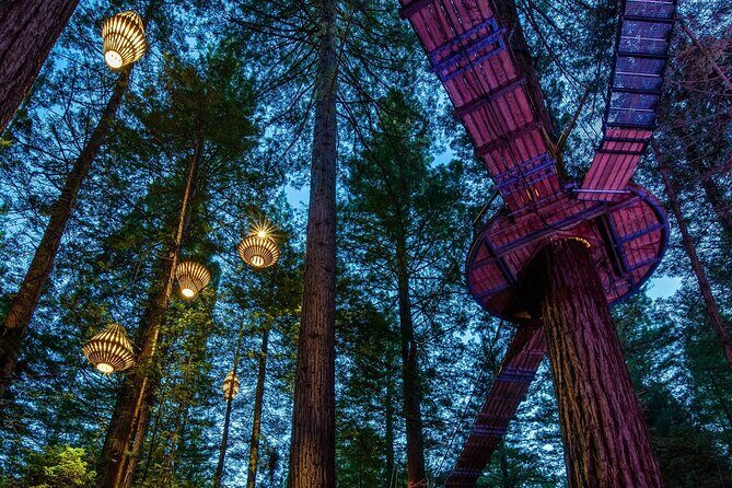 FULL DAY ROTORUA TOUR - Fully Customisable 13 hours Unlimited KMS - An In-Depth Look at the Full Day Rotorua Tour