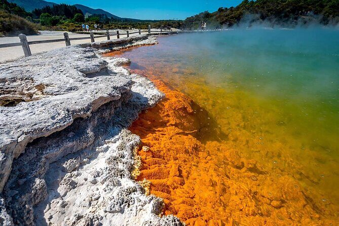 FULL DAY ROTORUA TOUR - Fully Customisable 13 hours Unlimited KMS - The Sum Up