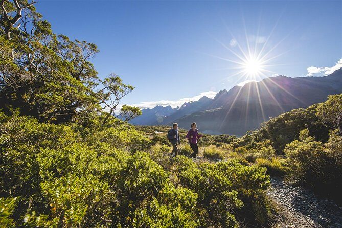 Full-Day Routeburn Track Key Summit Guided Walk from Te Anau - Why This Tour Offers Great Value