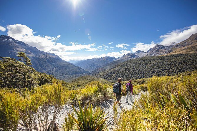 Full-Day Routeburn Track Key Summit Guided Walk from Te Anau - Who Should Consider This Tour?
