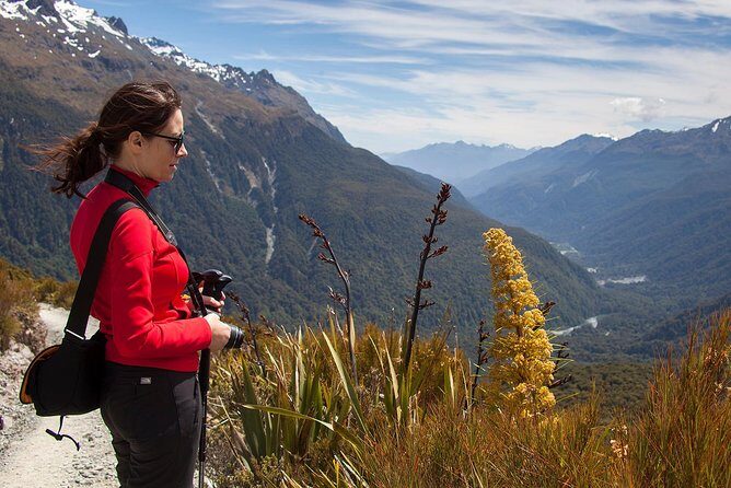 Full-Day Routeburn Track Key Summit Guided Walk from Te Anau - Final Thoughts
