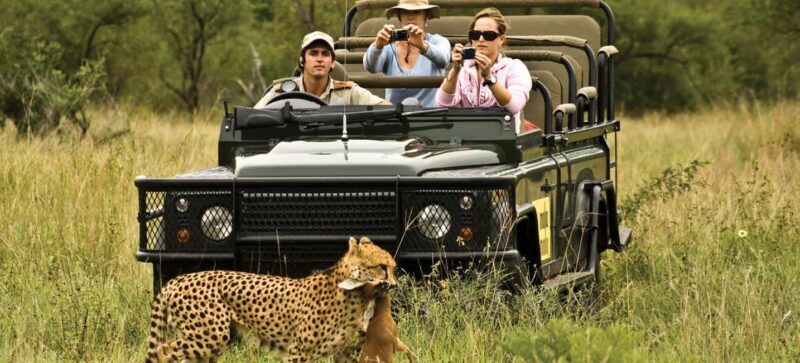 Full Day Safari Adventure in Chobe From Victoria Falls - Exploring the Itinerary in Detail