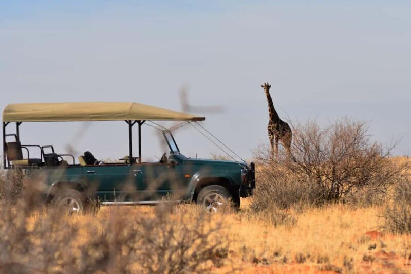 Full Day Safari Adventure in Chobe From Victoria Falls - Practical Tips and Considerations