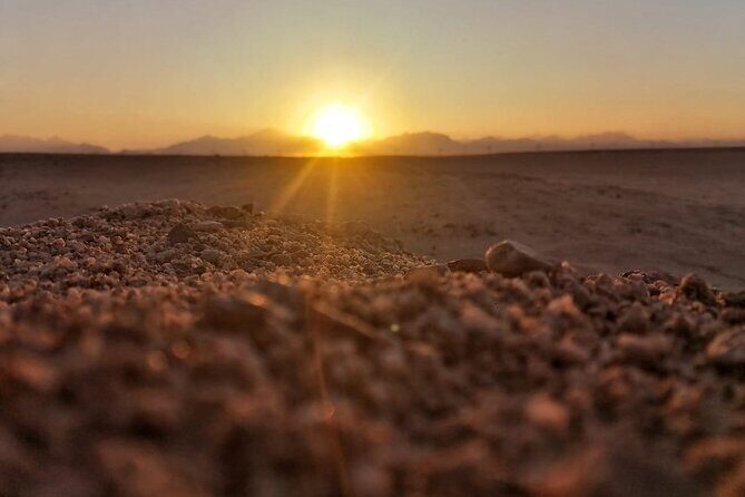 Full Day Safari ATV Quad, Camel Ride & Bedouin Dinner- Hurghada - An Authentic Desert Adventure in Hurghada