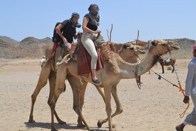 Full Day Safari ATV Quad, Camel Ride & Bedouin Dinner- Hurghada - FAQ
