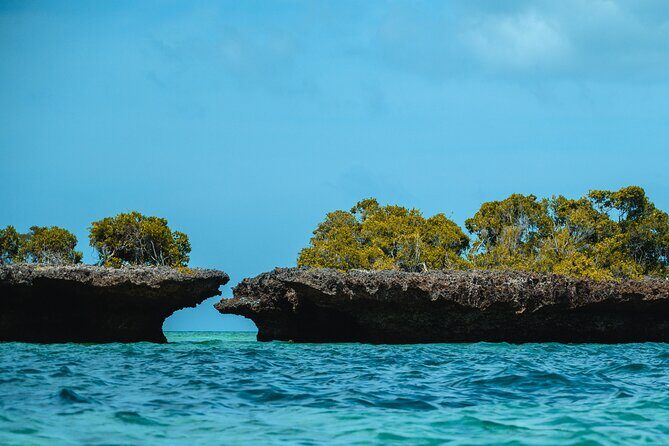 Full Day Safari Blue Zanzibar - Analyzing the Value