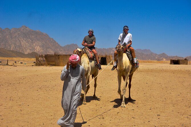 Full Day Safari Buggy, ATV Biking, BBQ and Show - What’s Included and What to Consider
