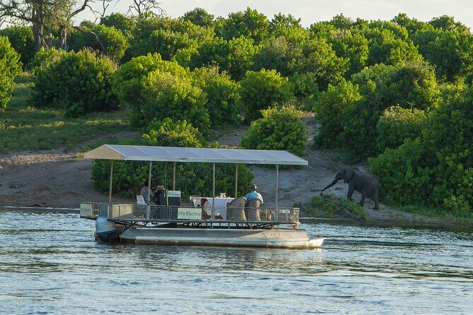 Full-Day Safari Chobe National Park and boat safari - Key Points