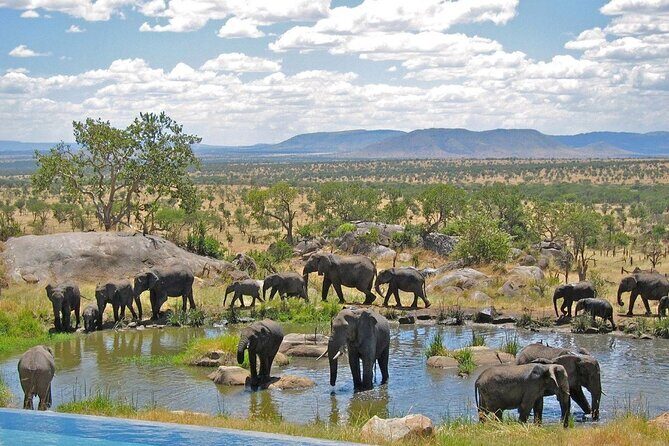 Full Day Safari From Durban to Hluhluwe-Imfolozi Game Reserve - What the Reviews Tell Us