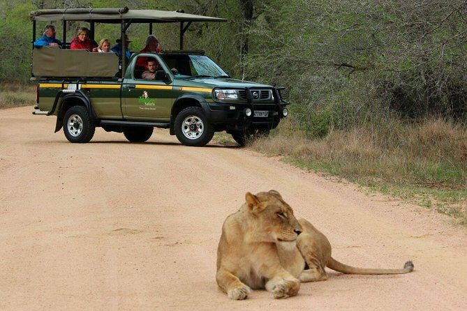 Full Day Safari - Kruger National Park - Practical Tips for Travelers