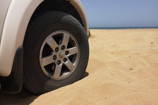 Full-Day Safari Small Desert With Lunch - The Value for Money – Does It Stack Up?